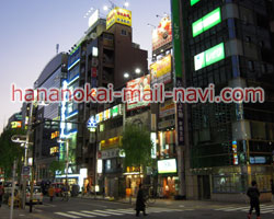 �����̃r���̊ŔQ