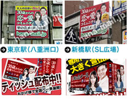 �؂̉�[���̍L�����